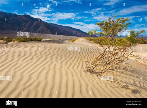 An aerial view of sand dunes Stock Photo - Alamy