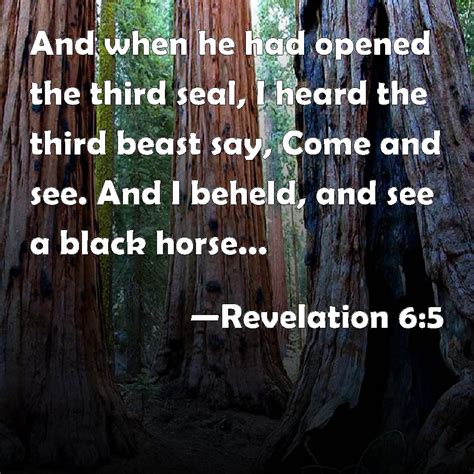 Revelation And When He Had Opened The Third Seal I Heard The Third