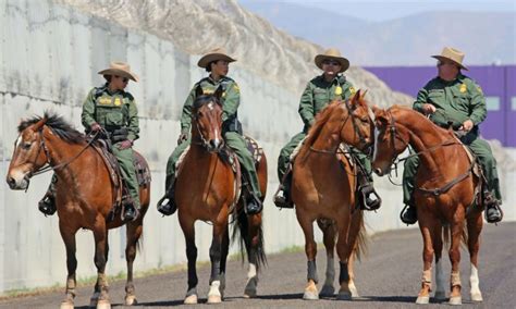 Border Patrol Union Praises Trump’s ‘Miraculous’ Effect on Border Crossings | The Epoch Times