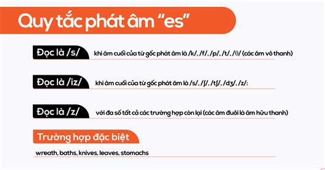 Top 8 Cách Phát âm S Es Mới Nhất Năm 2022