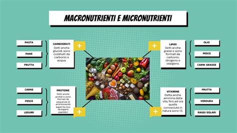 Macronutrienti E Micronutrienti