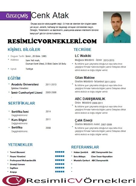 Cv Ornekleri Bank Home