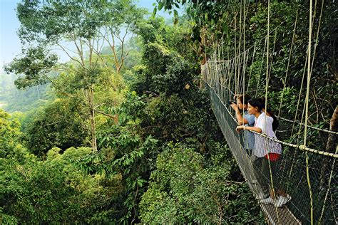 Taman-Negara-Nationalpark - Malaysia Reisen & Informationsportal