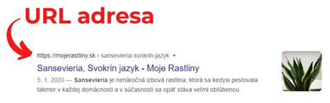 Ako sa dostať na prvé miesto na Google? - BLOG