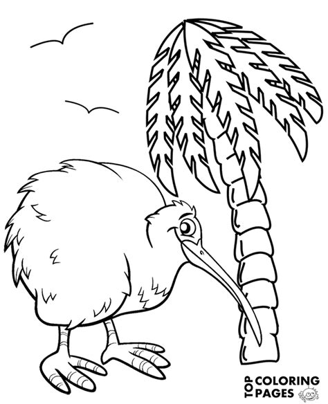 Kiwi Bird Coloring Page Sketch Coloring Page