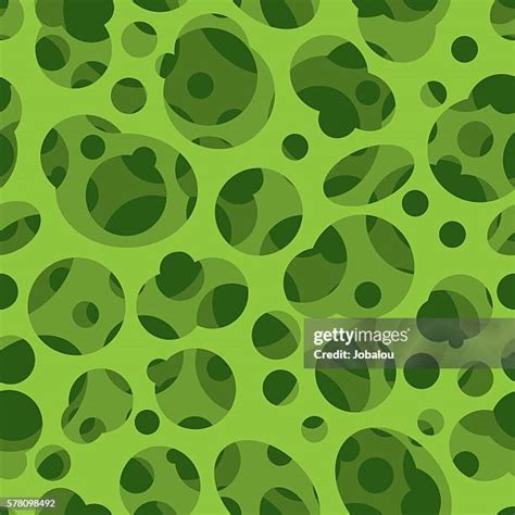 Termite Holes Photos And Premium High Res Pictures Getty Images