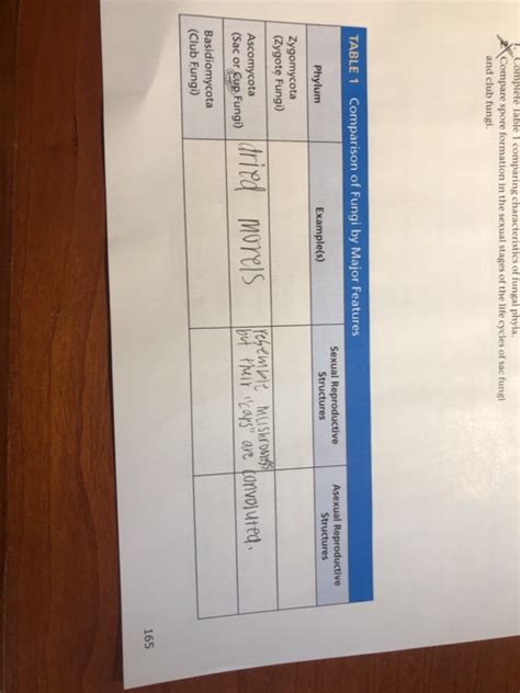 Solved Complete Table 1 comparing characteristics of fungal | Chegg.com