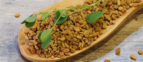 Fenugreek Benefits & Uses | Nature's Own Australia