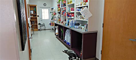 Home All Pets Veterinary Medical Center