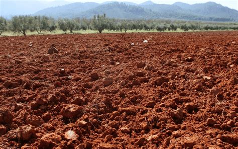 Estrutura do solo classificação e o manejo do solo AgroPós