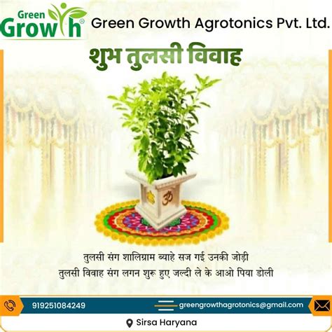 Tulsi Vivah Ki Hardik Shubhkamnaye 🙏 Tulsi Vivah Tulsi Green