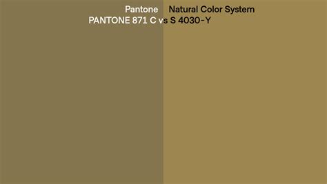 Pantone 871 C Vs Natural Color System S 4030 Y Side By Side Comparison