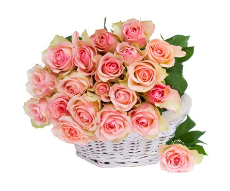 K Bouquets Roses Pink Color Wicker Basket White Background Hd