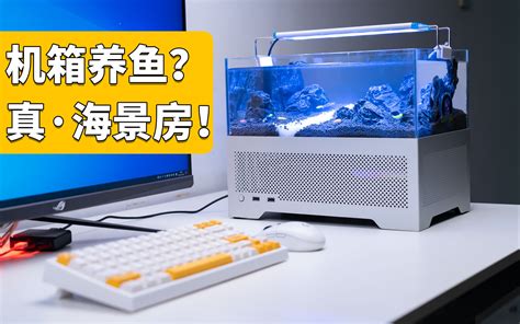 真 海景房能养鱼的电脑主机鱼巢Y2鱼缸机箱鉴赏 哔哩哔哩