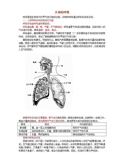 中考生物总复习《人体的呼吸》知识点总结 教习网课件下载