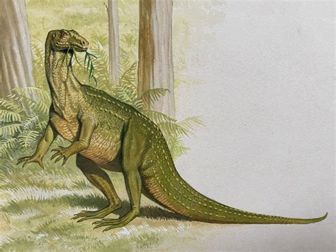 Iguanodon And Hypsilophodon 1970s Bernard Robinson P18 And 19 Dinosaur