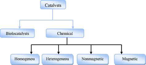 The Various Types Of Catalysts Download Scientific Diagram