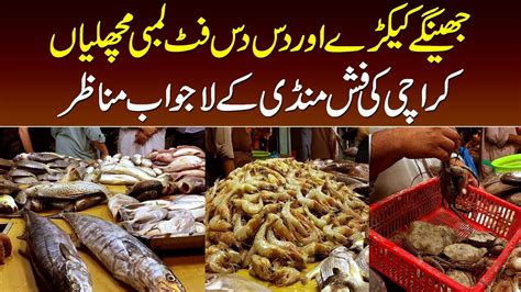 Biggest Fish Market In Karachi Pakistan Fish Market Karachi