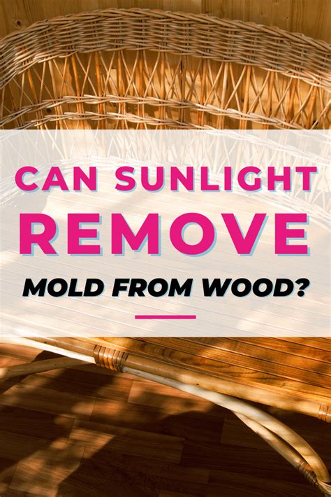 How To Remove Mold On Wood Furniture Floor Deck Artofit