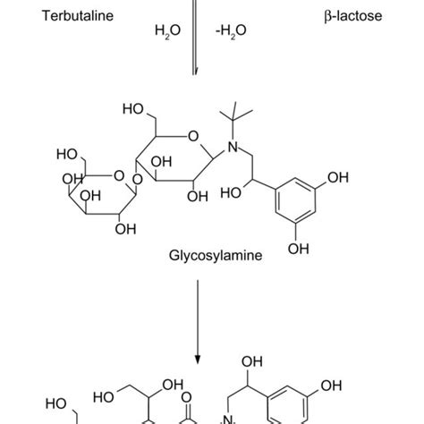 PDF Synthesis And Characterization Of Maillard Reaction Products Of