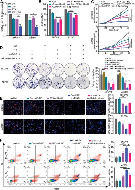 Frontiers Curcumin Enhances The Anti Cancer Efficacy Of Paclitaxel In