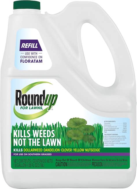 Amazon Roundup For Lawns Refill Southern Gal Patio