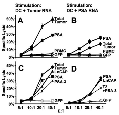 Autologous Dc Transfected With Autologous Tumor Rna Stimulate Ctl