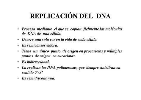 Replicaci N Del Dna Biolog A General Udocz