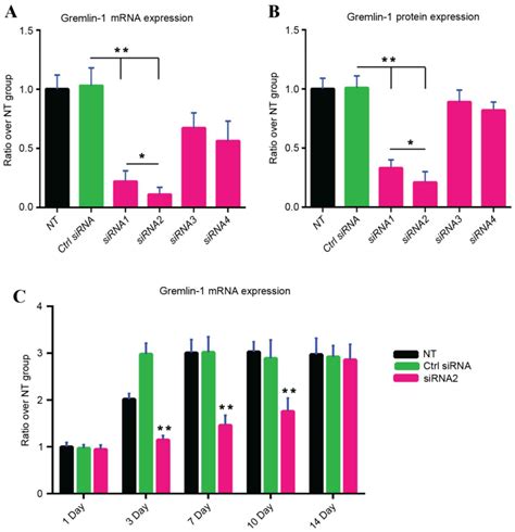 Gremlin 1 Suppression Increases Bmp 2 Induced Osteogenesis Of Human