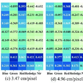 Correlation between images with different spatial resolutions and ... 