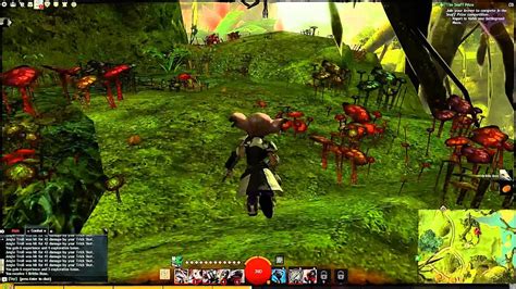 Guild Wars Caledon Forest Vista Sleive S Inlet Youtube