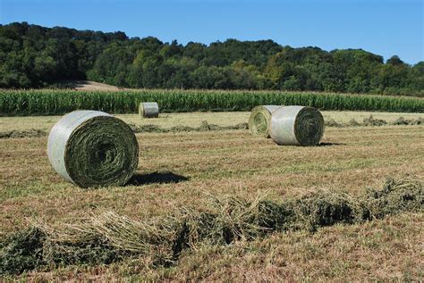 Straw Bundles Agriculture - Free photo on Pixabay - Pixabay