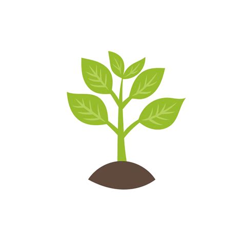 Великолепный сад – Крымский питомник