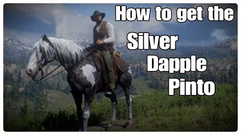 Silver dapple pinto rdr2