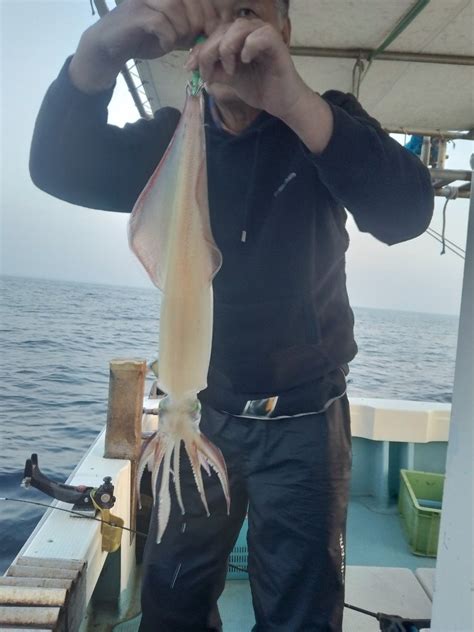 夜炊きイカ釣り 海政丸のブログ北九州戸畑で釣り船やってます。興味のある方宜しくお願いします。タイラバ、slj ジギング、落とし込み、昼夜イカ釣り等