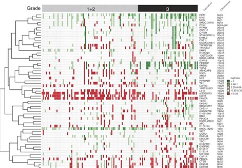 Using Array Comparative Genomic Hybridization To Define Molecular