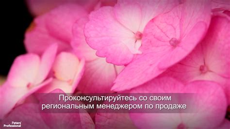 Удобрения Peters Professional от ICL - YouTube