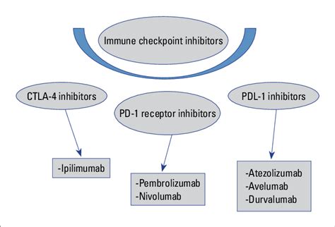 Major Types Of Immune Checkpoint Inhibitor Related Cardiotoxicity