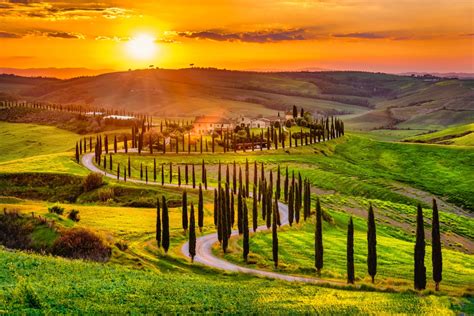 Rota do azeite na Toscana uma viagem pelos sabores autênticos da