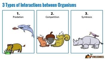 Interactions between Organisms (Symbiosis, Competition, & Predation)