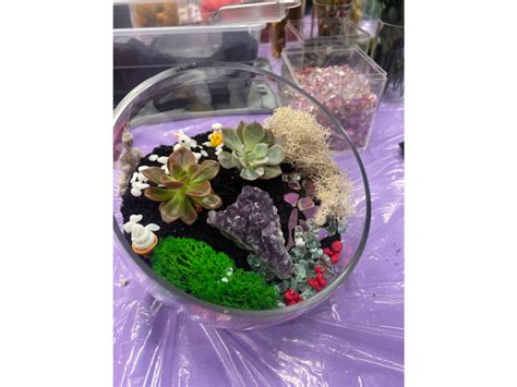 Art Class Crystal And Succulent Terrariums Bay Area Classpop