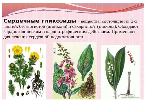 Средства, действующие на сердечно-сосудистую систему. Средства ...