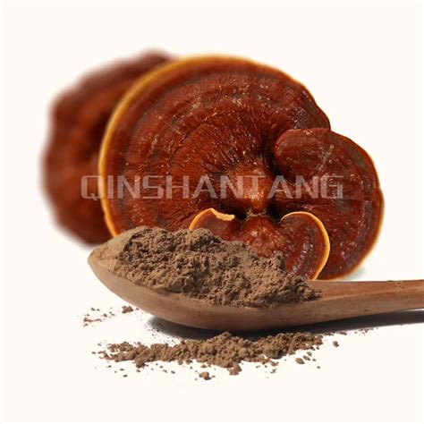 Qst 001 Chinese Lingzhi Supplement Mushroom Ganoderma Lucidum Extract