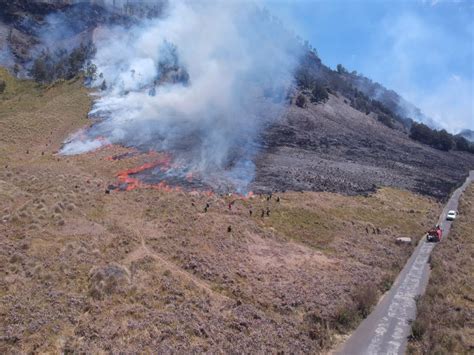 Bikin Sedih Ini Potret Bromo Sebelum Dan Sesudah Kebakara