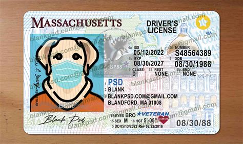 Massachusetts Drivers License Template New V Blank Psd