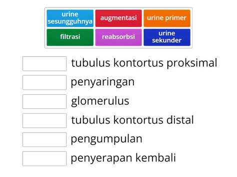 PASANGKAN KATA BERIKUT Match Up