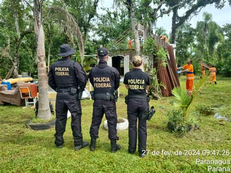 PF combate crimes ambientais de ocupação ilegal em áreas de proteção