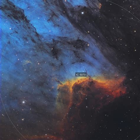 Pelican Nebula Ic Lei Chen Astrobin