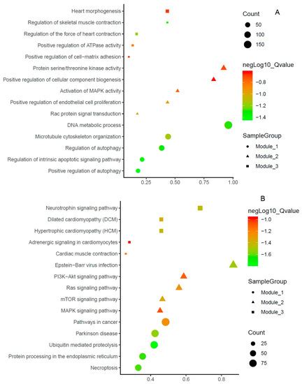 Jpm Special Issue Recent Developments In Cancer Systems Biology