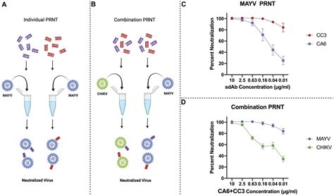 Frontiers Expression Of Anti Chikungunya Single Domain Antibodies In